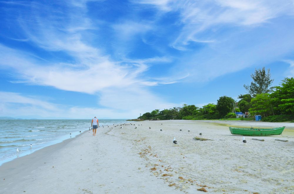 Фотография автора Алена