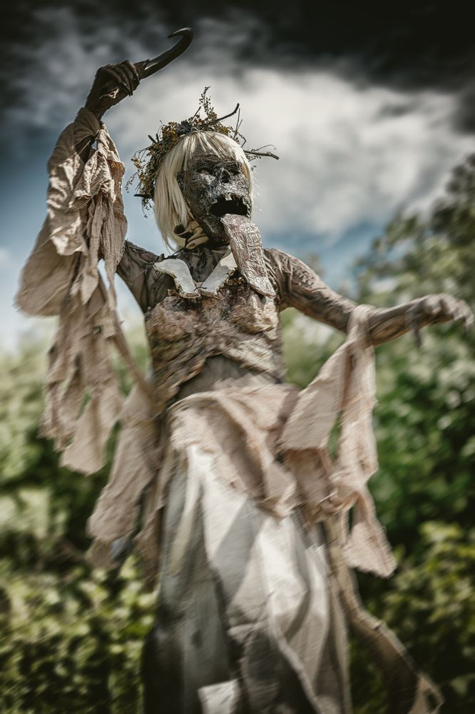 Фотография автора Максим Мухин