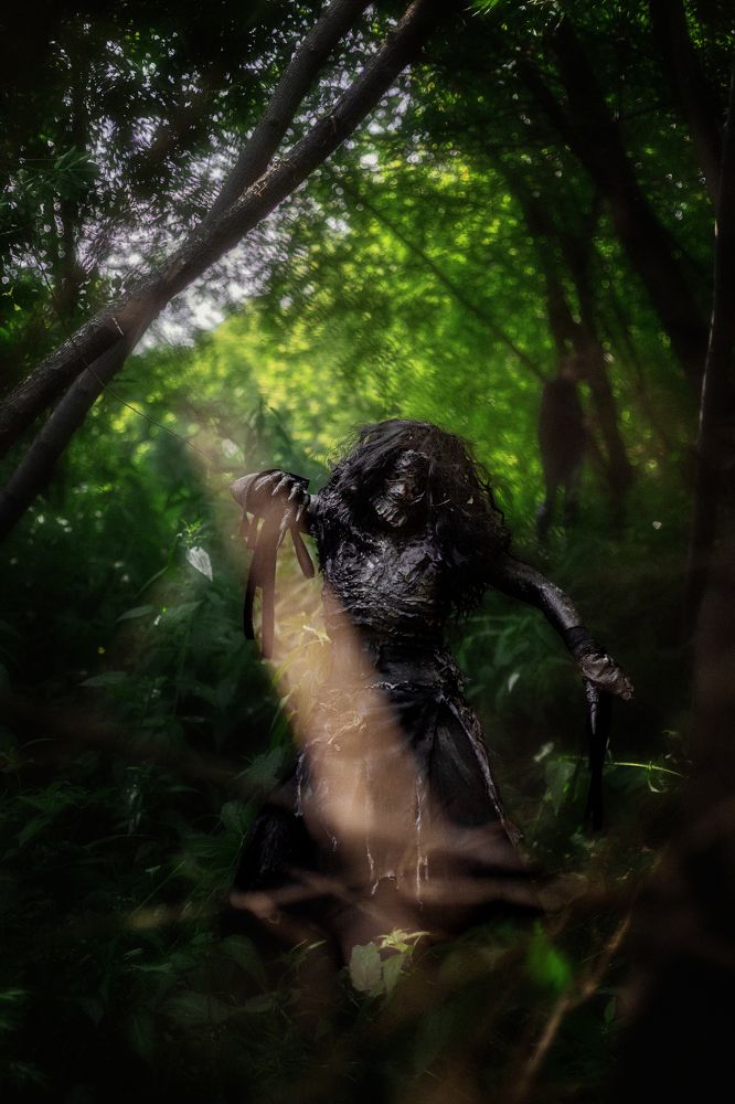 Фотография автора Максим Мухин