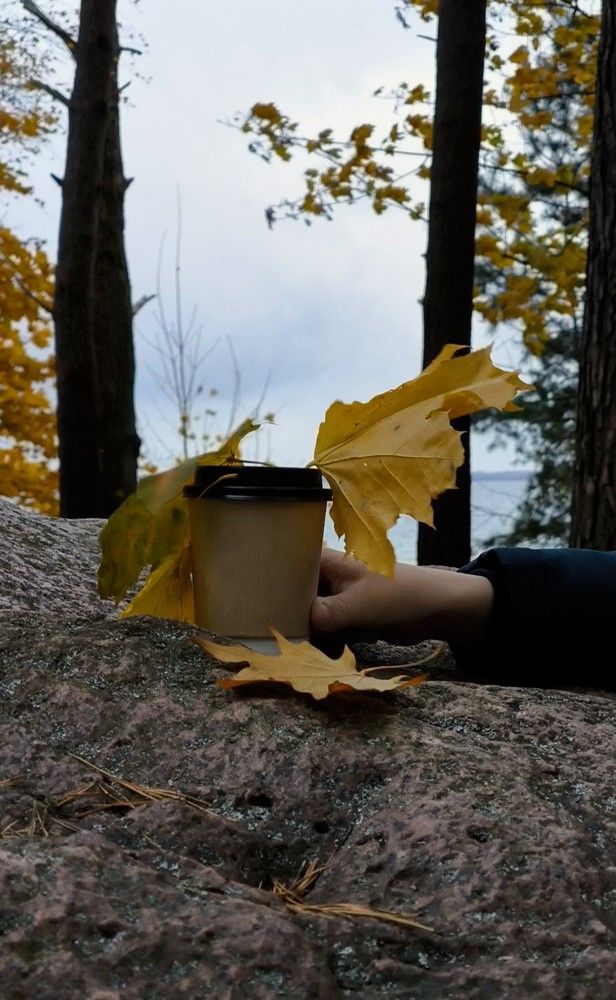 Photograph by Татьяна Яцкевич