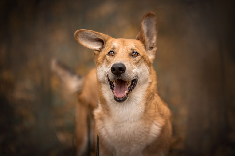 Photograph by Елена Самусенкова