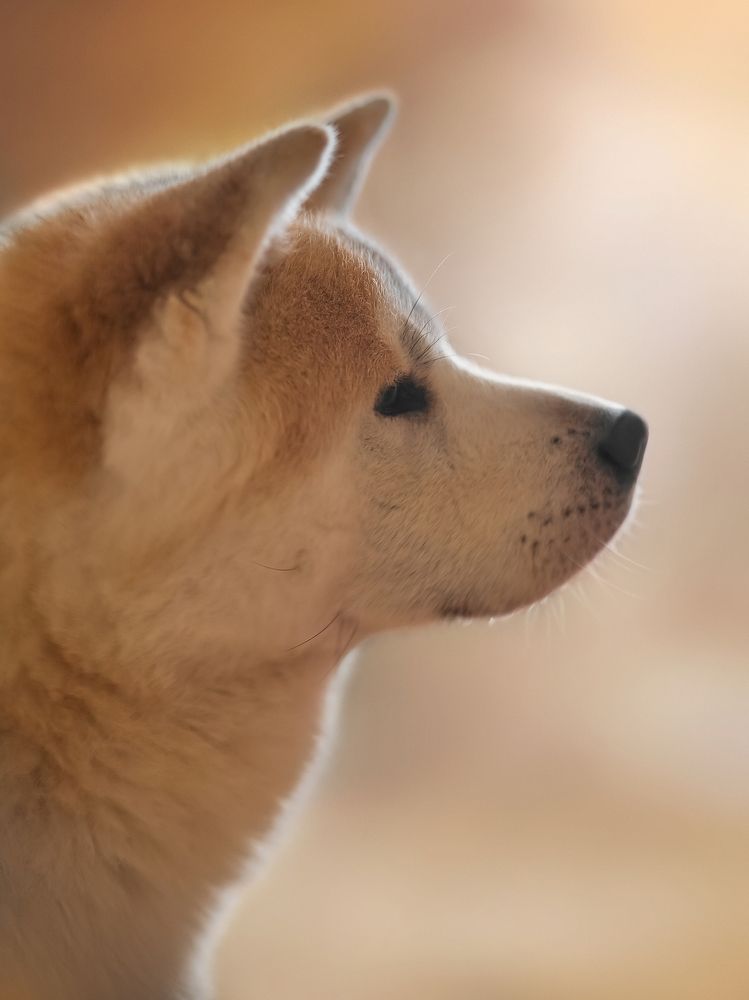 Photograph by Алексей Горин