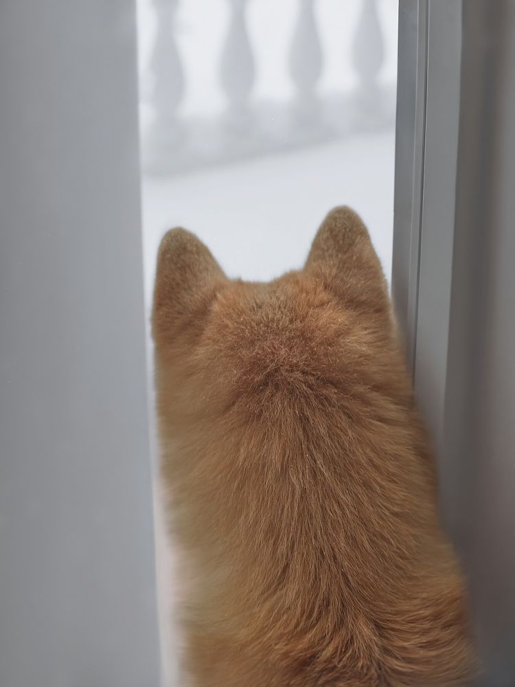 Photograph by Алексей Горин