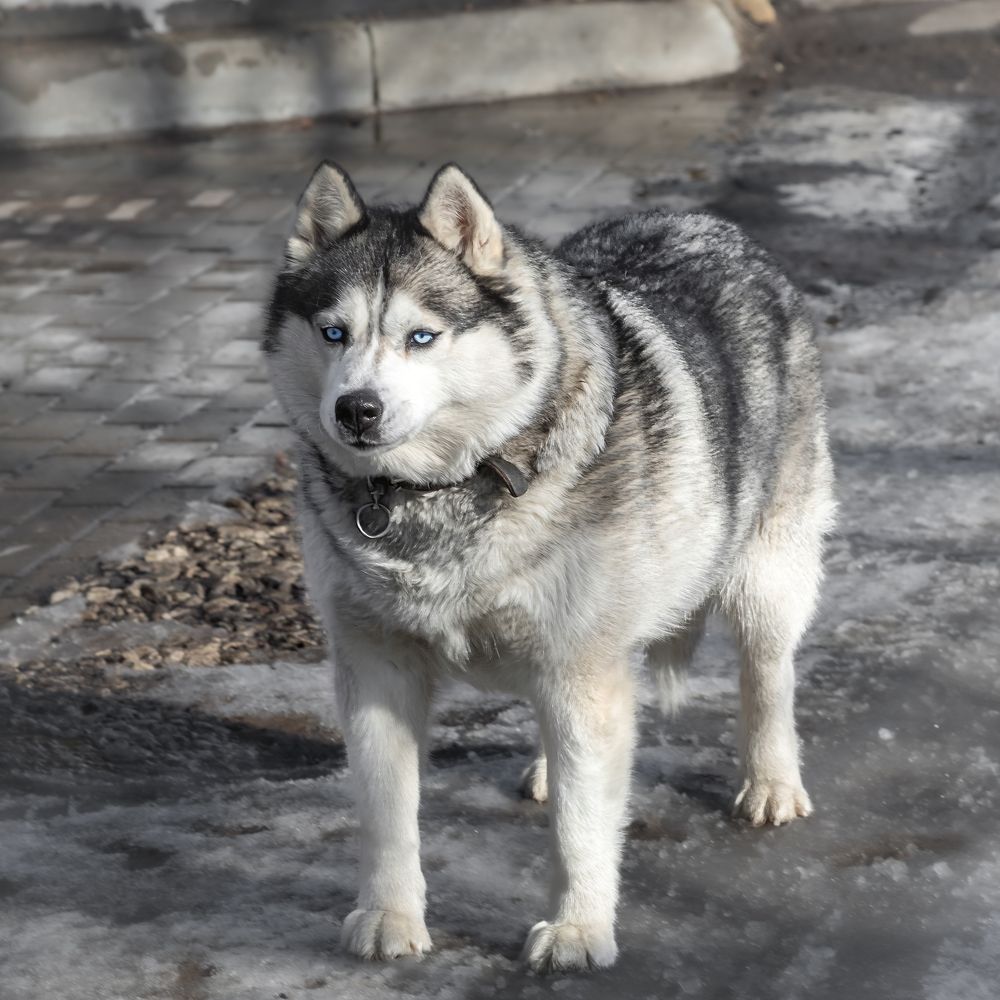 Photograph by Алексей Горин