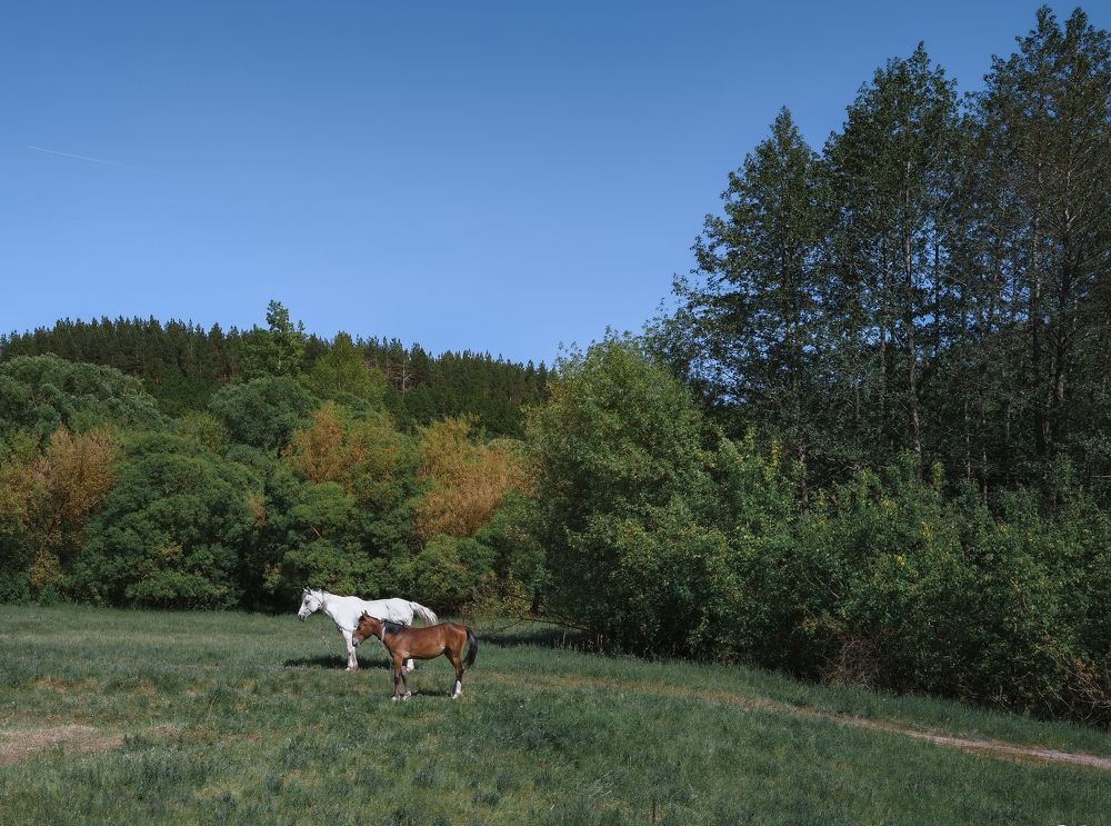 Photograph by Владимир Фролов