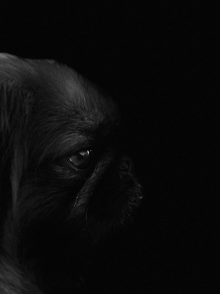 Фотография автора Диана