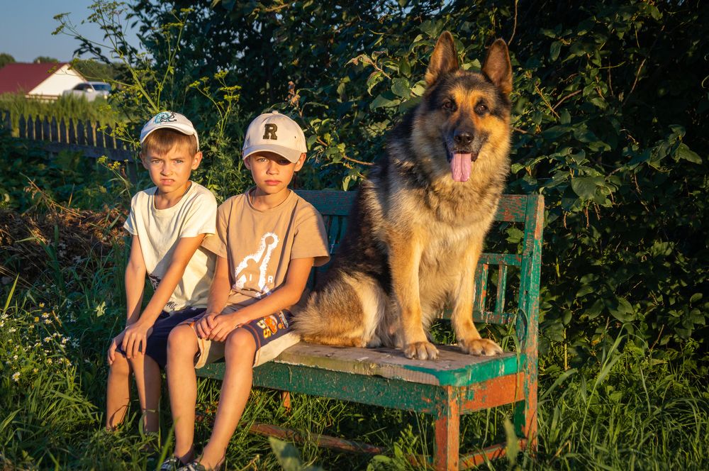 Photograph by Николай Мокшин