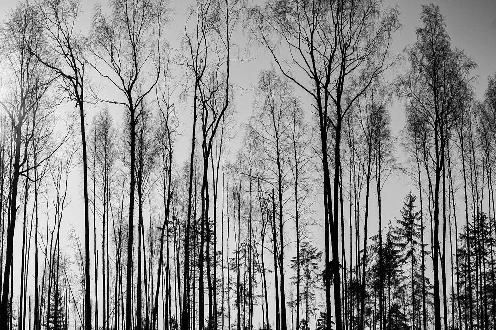 Photograph by Марина Халатова