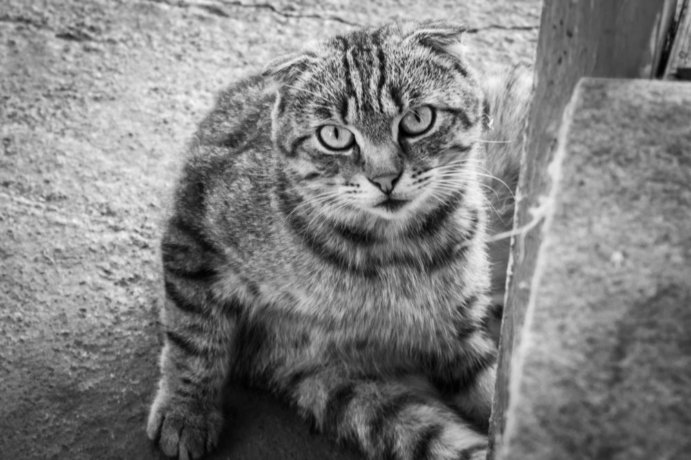 Photograph by Николай Мокшин