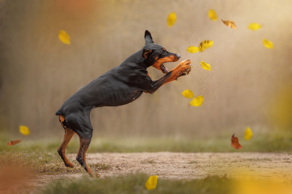 Photograph by Яна Нарбутович