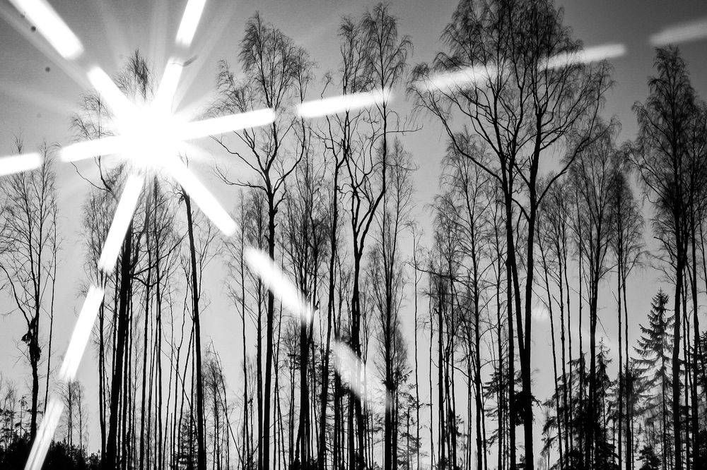 Photograph by Марина Халатова