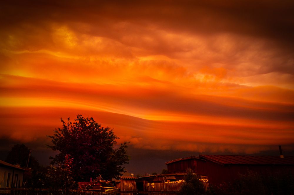 Photograph by Николай Мокшин