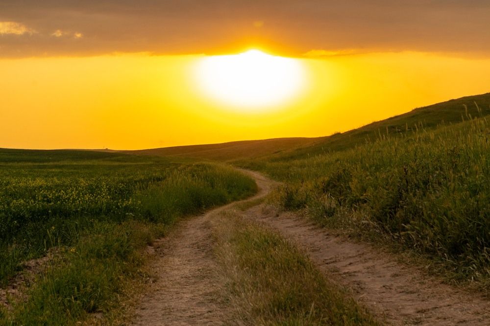 Фотография автора Van Gross