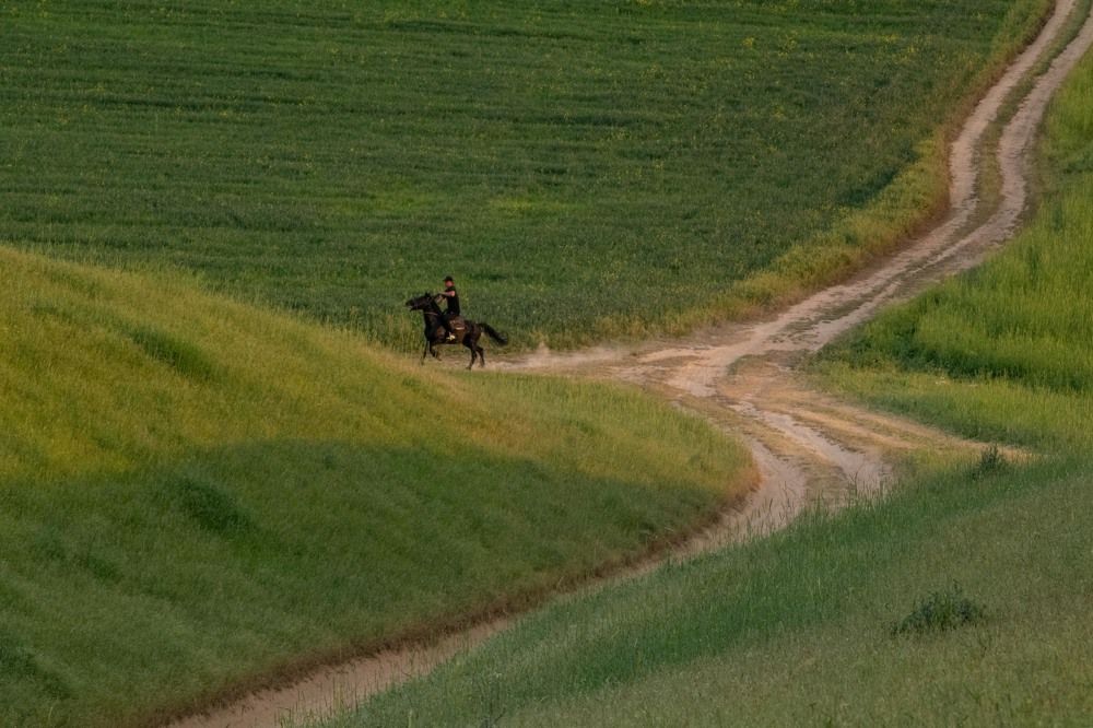 Фотография автора Van Gross