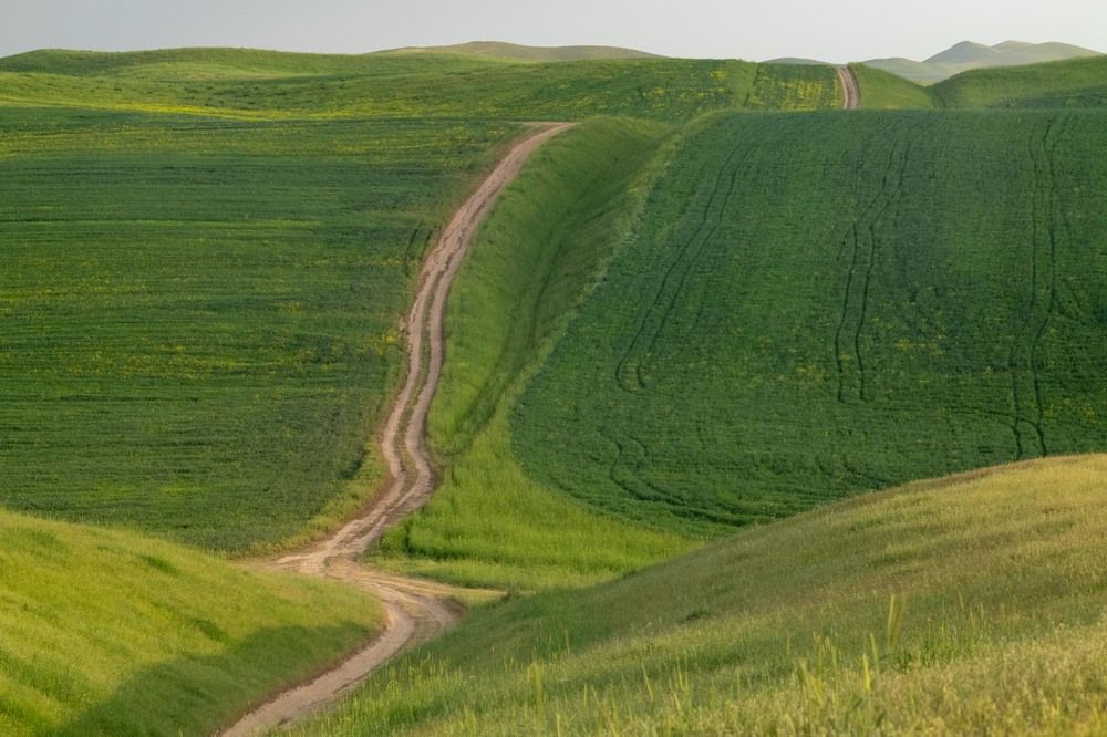 Фотография автора Van Gross