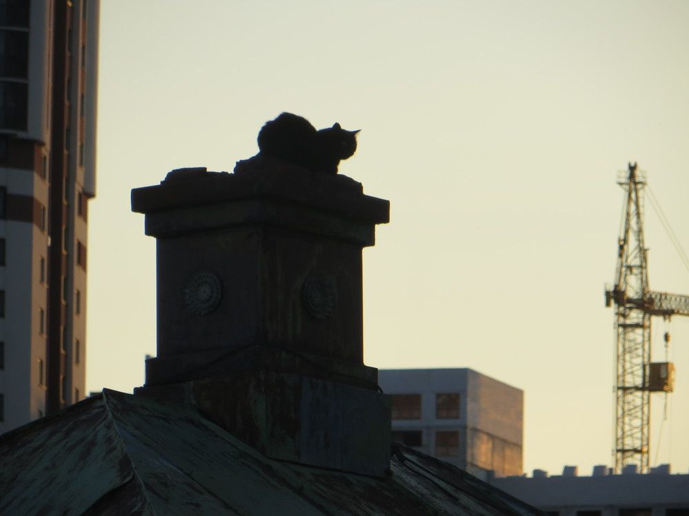 Photograph by Татьяна Поминова