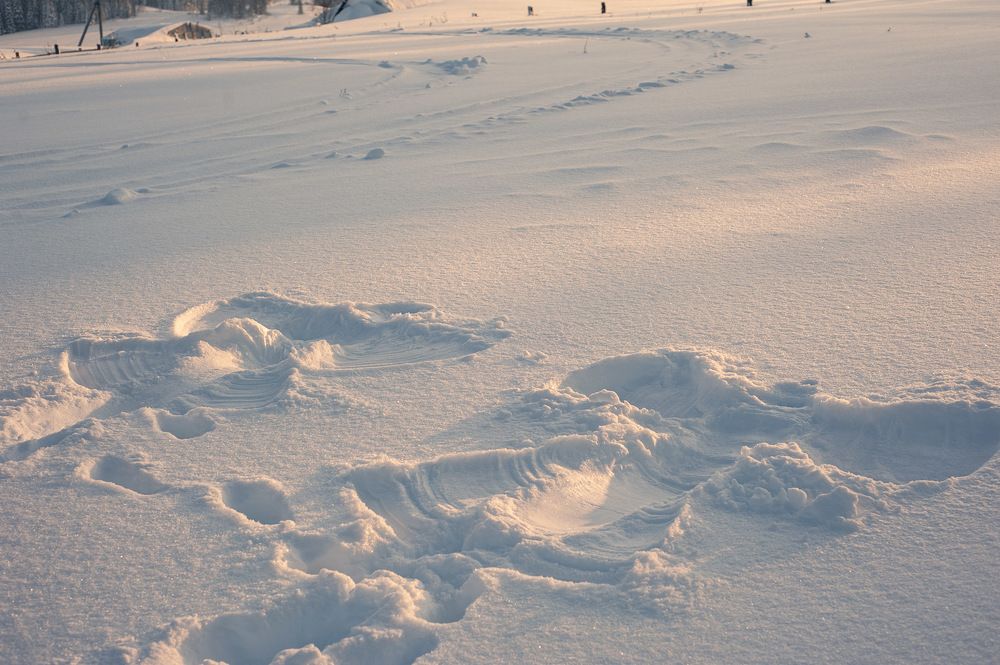 Photograph by Ирина Яук