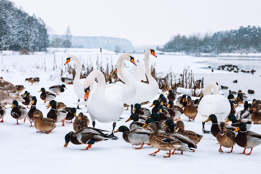 Фотография автора Галина