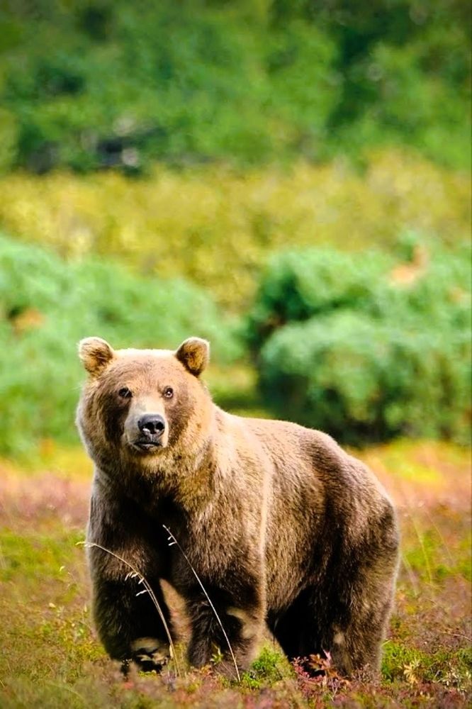 Фотография автора Вячеслав