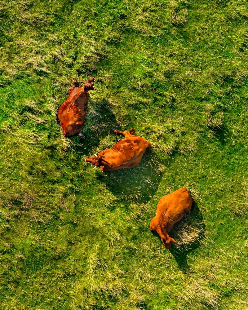 Photograph by Yantsen Alina