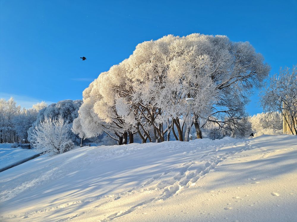 Photograph by Анастасия Северюхина