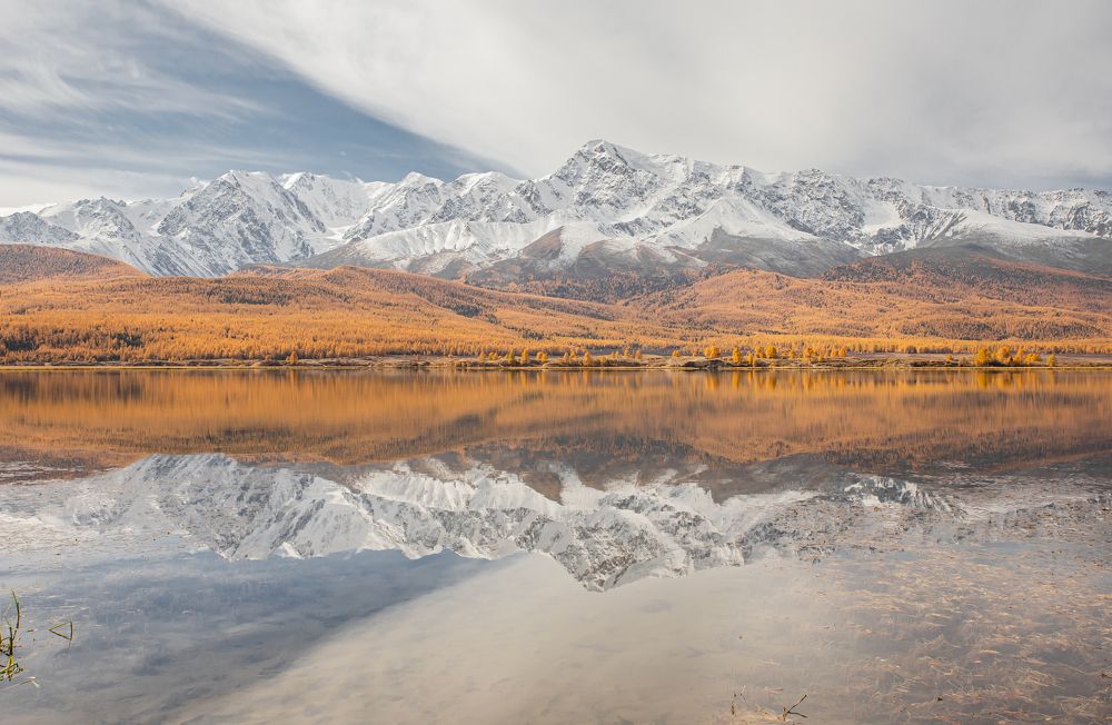 Photograph by Елена Павлова