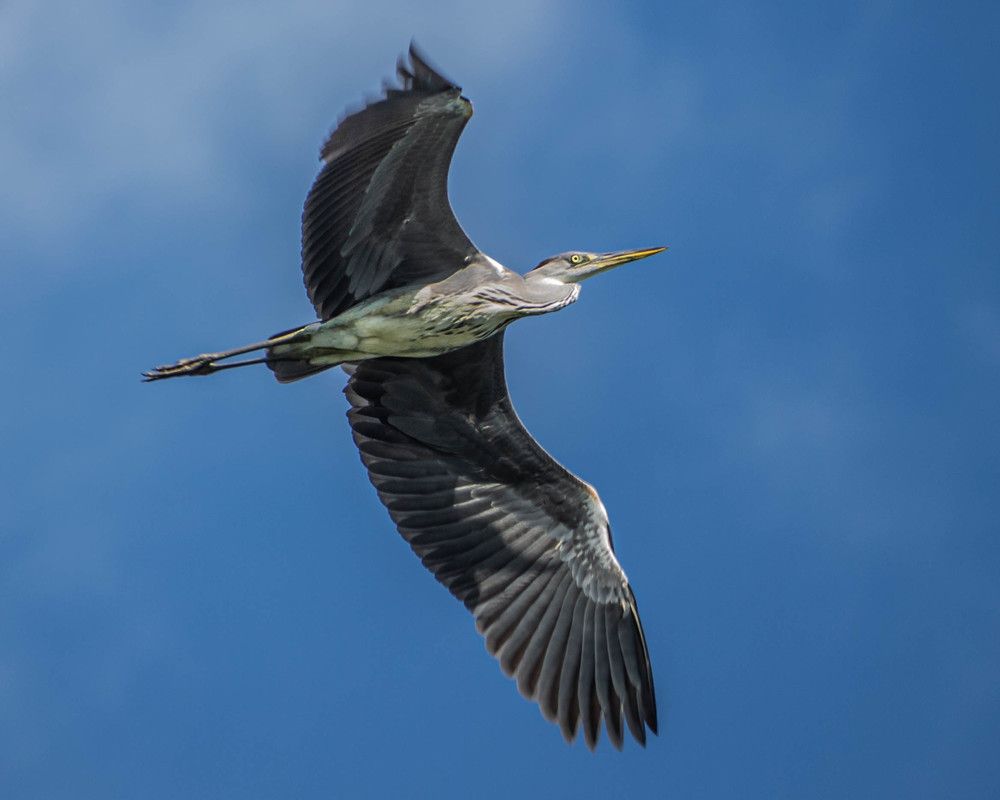 Photograph by Ольга Ильина