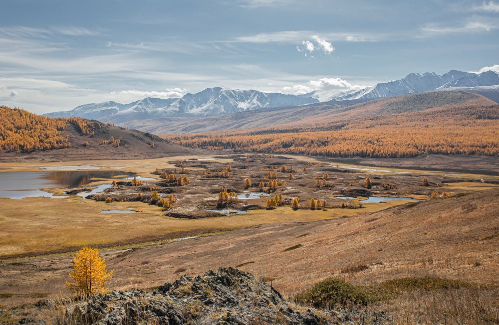 Photograph by Елена Павлова