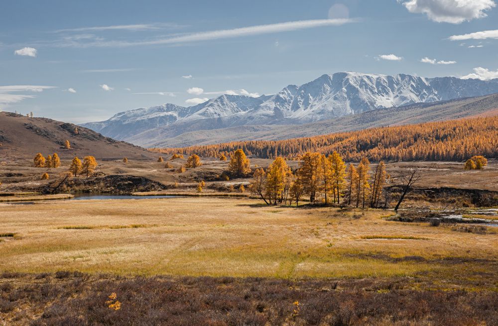 Photograph by Елена Павлова