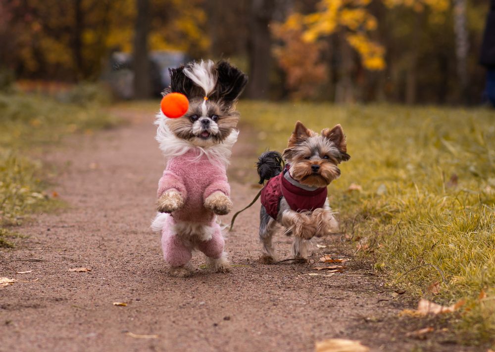 Photograph by Людмила Подольская