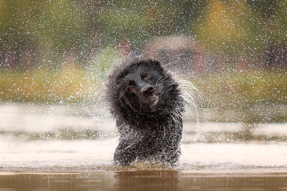 Photograph by Яна Нарбутович