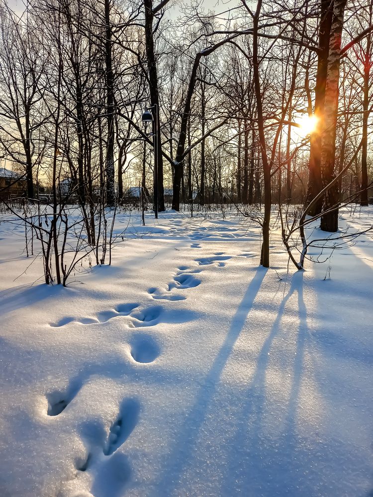 Photograph by Наталья Колеватова