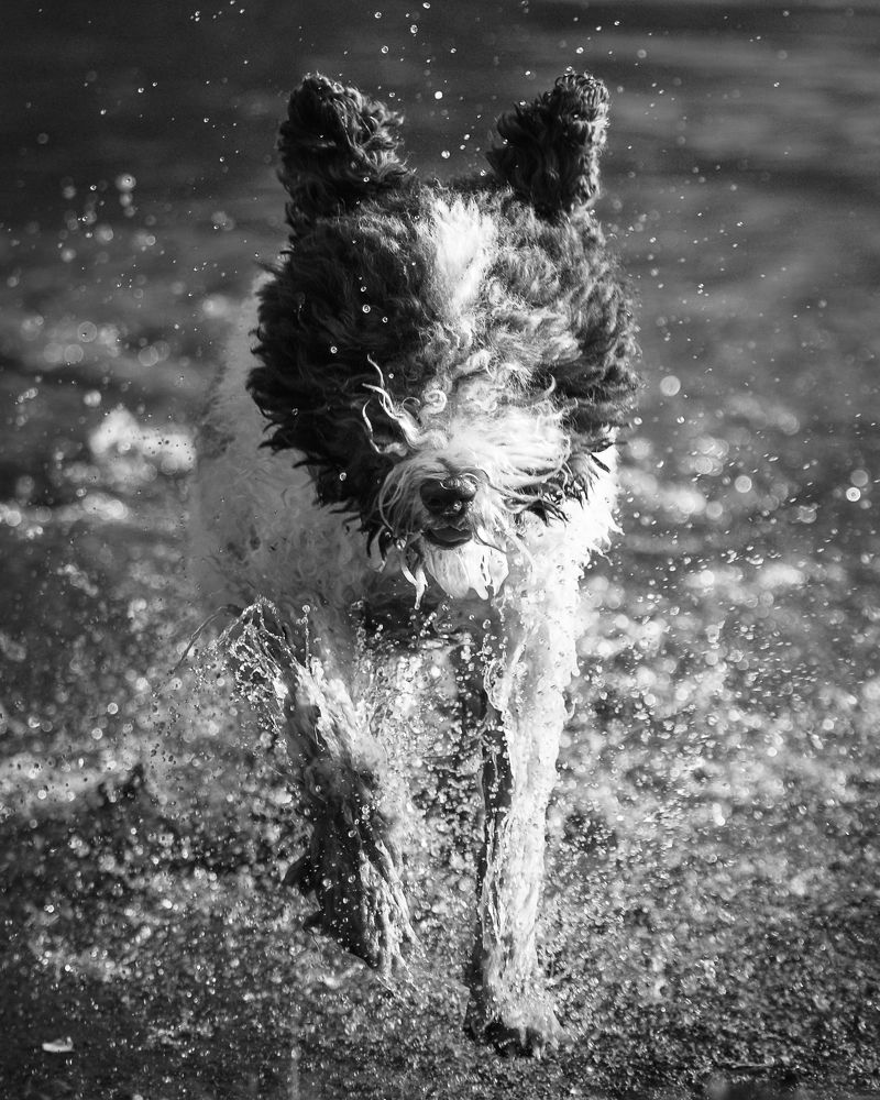 Photograph by Dmitry Ishniyazov