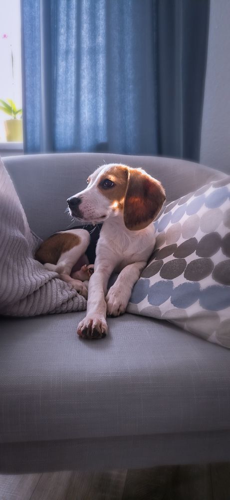 Photograph by Alena Smolianinova