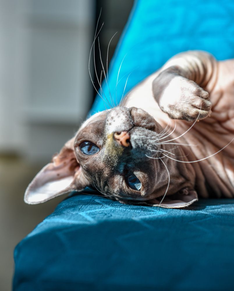 Photograph by Alena Smolianinova