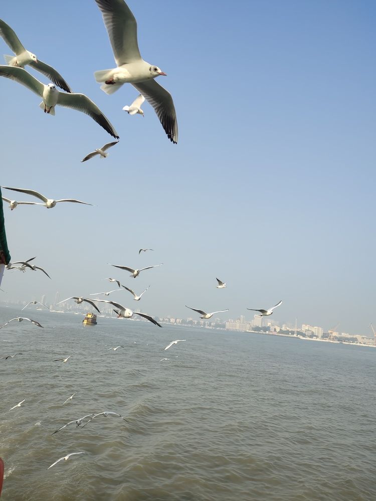 Photograph by Виктор Бута