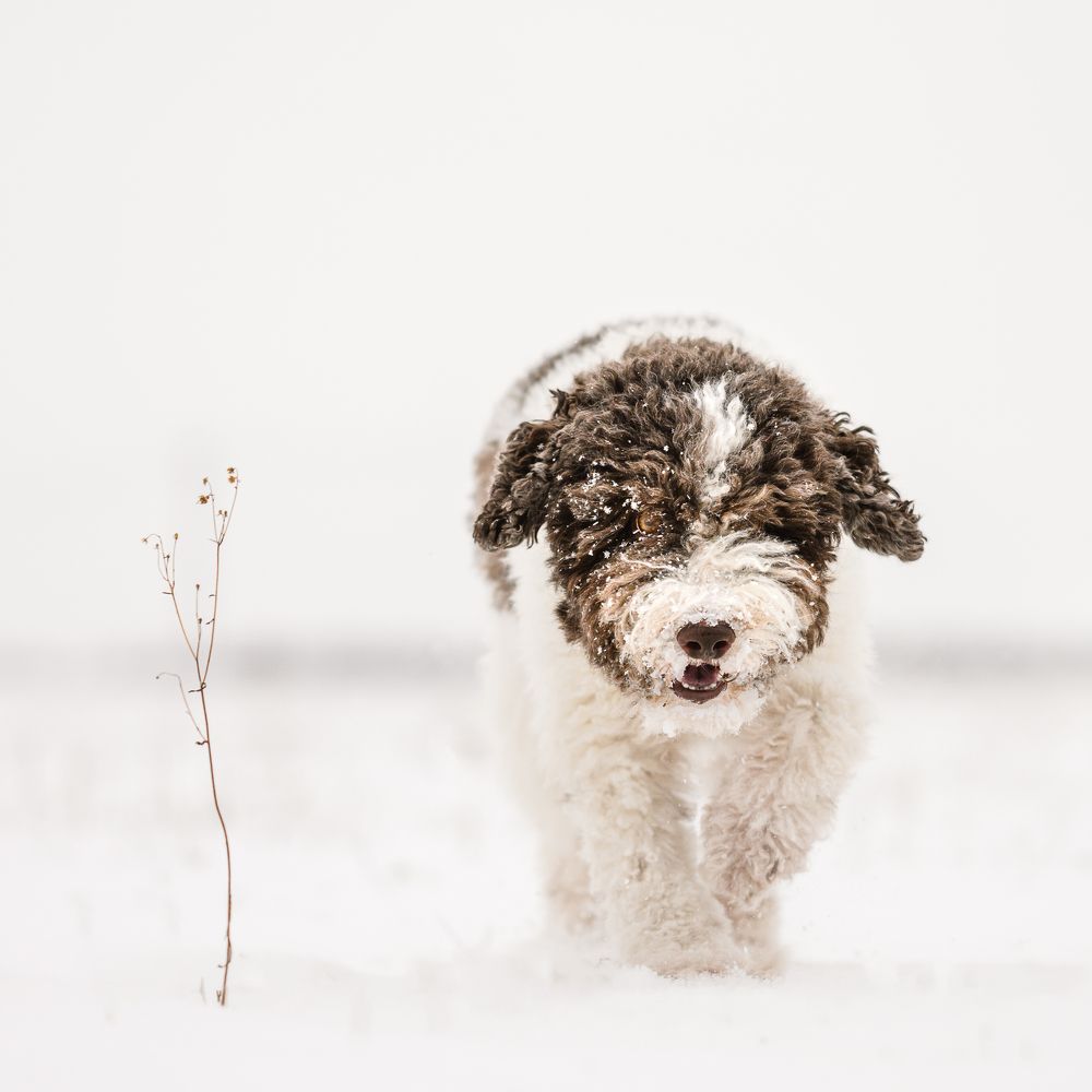 Photograph by Dmitry Ishniyazov