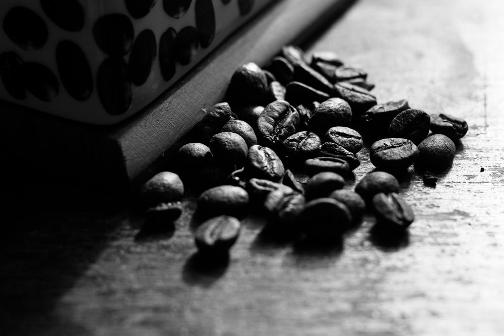 Photograph by Евгения Кинжакова