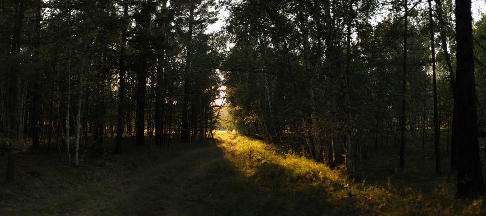 Photograph by Aleksey Maevskiy