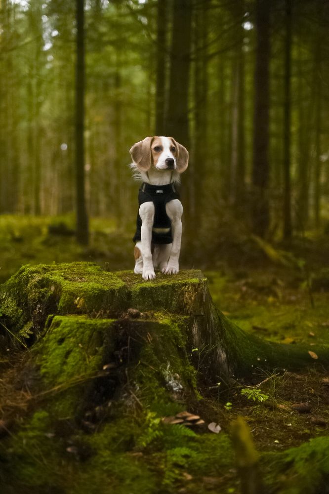 Photograph by Alena Smolianinova