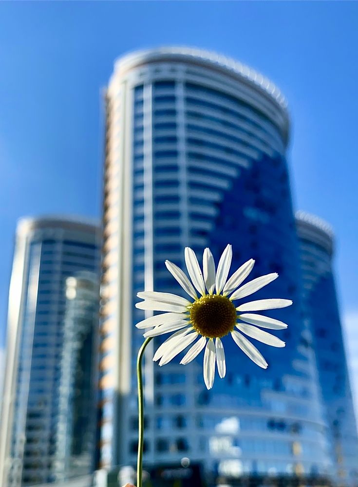 Photograph by Татьяна Шитлина