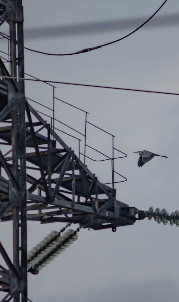 Photograph by Ольга Ильина