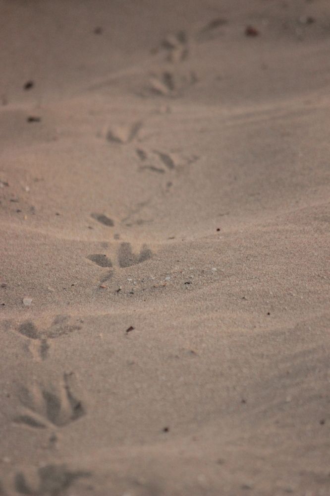 Photograph by Екатерина Александровна