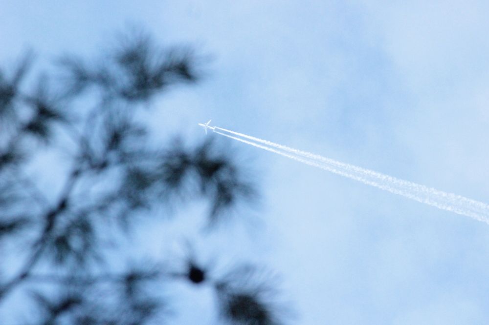 Photograph by Екатерина Александровна