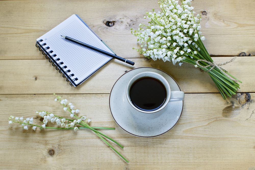 Photograph by Антонина Басалай