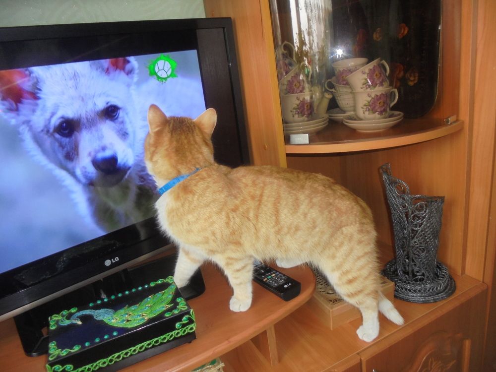 Photograph by Лилия Исхакова