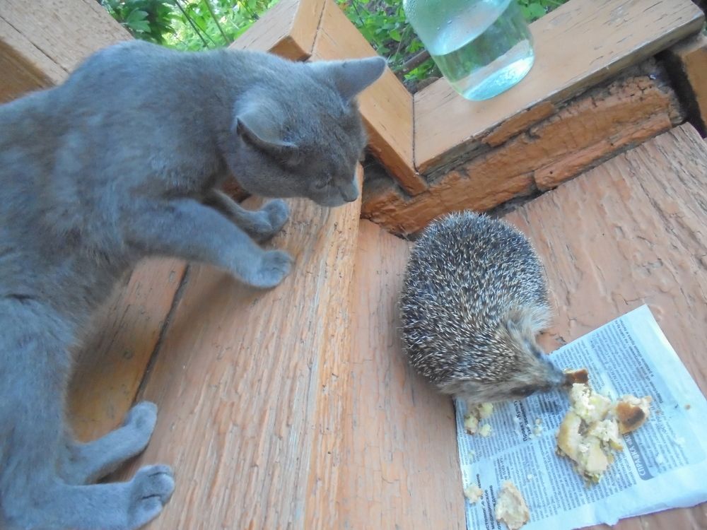 Photograph by Лилия Исхакова