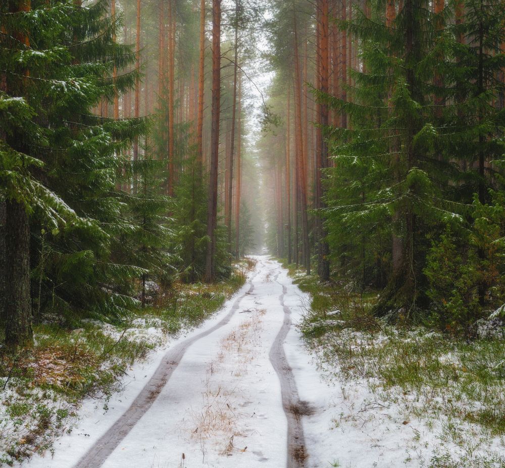 Photograph by  Михаил