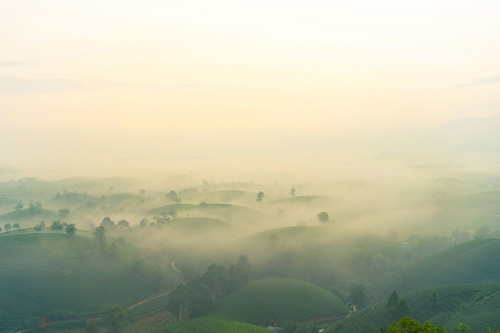 Фотография автора Luong Cung