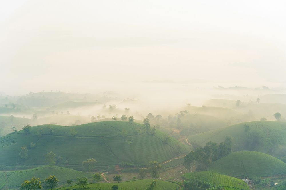 Фотография автора Luong Cung